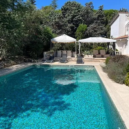 Villa Viilla D Aurus